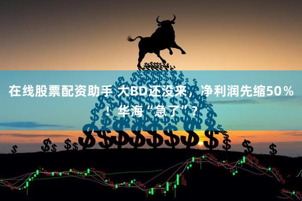 在线股票配资助手 大BD还没来，净利润先缩50％！华海“急了”？
